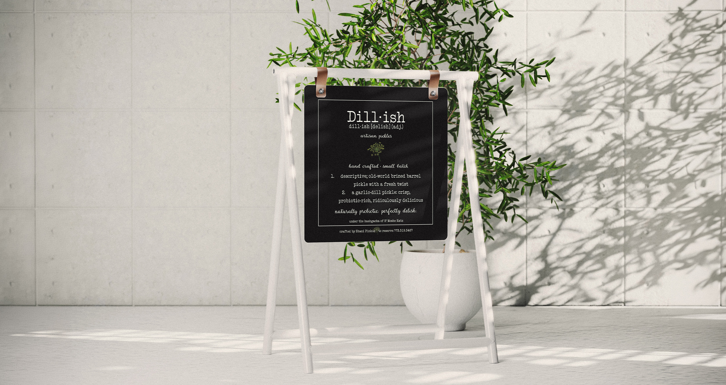 Brand identity and packaging design for Dillish, a handcrafted artisan pickle brand specializing in small-batch garlic dill pickles.